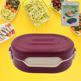 Airtight Food Grade Tiffin Box with 2 Compartments and Spoon
