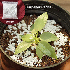 AeroLite Garden Booster perlite for improved soil aeration