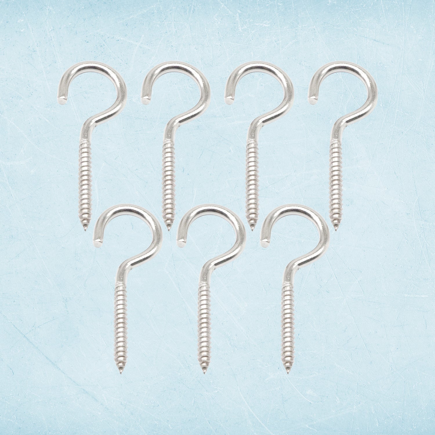 SteelGuard EyeBolt heavy-duty stainless steel screw