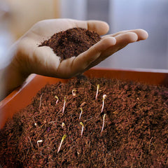 EcoPeat Garden Blend Block