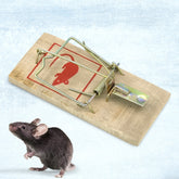 Sturdy wooden mouse rat trap with snap trigger