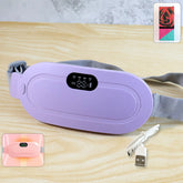Rechargeable Smart Warm Palace Belt main product image