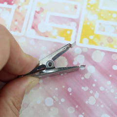 EverGrip stainless steel cloth clips outdoor use