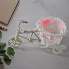 Side view of bicycle flower pot stand with flowers