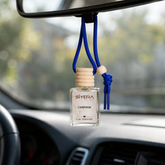 Hanging car air freshener