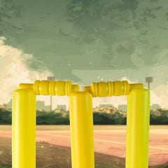 Components of a kids' cricket set: bat, ball, stumps, bails