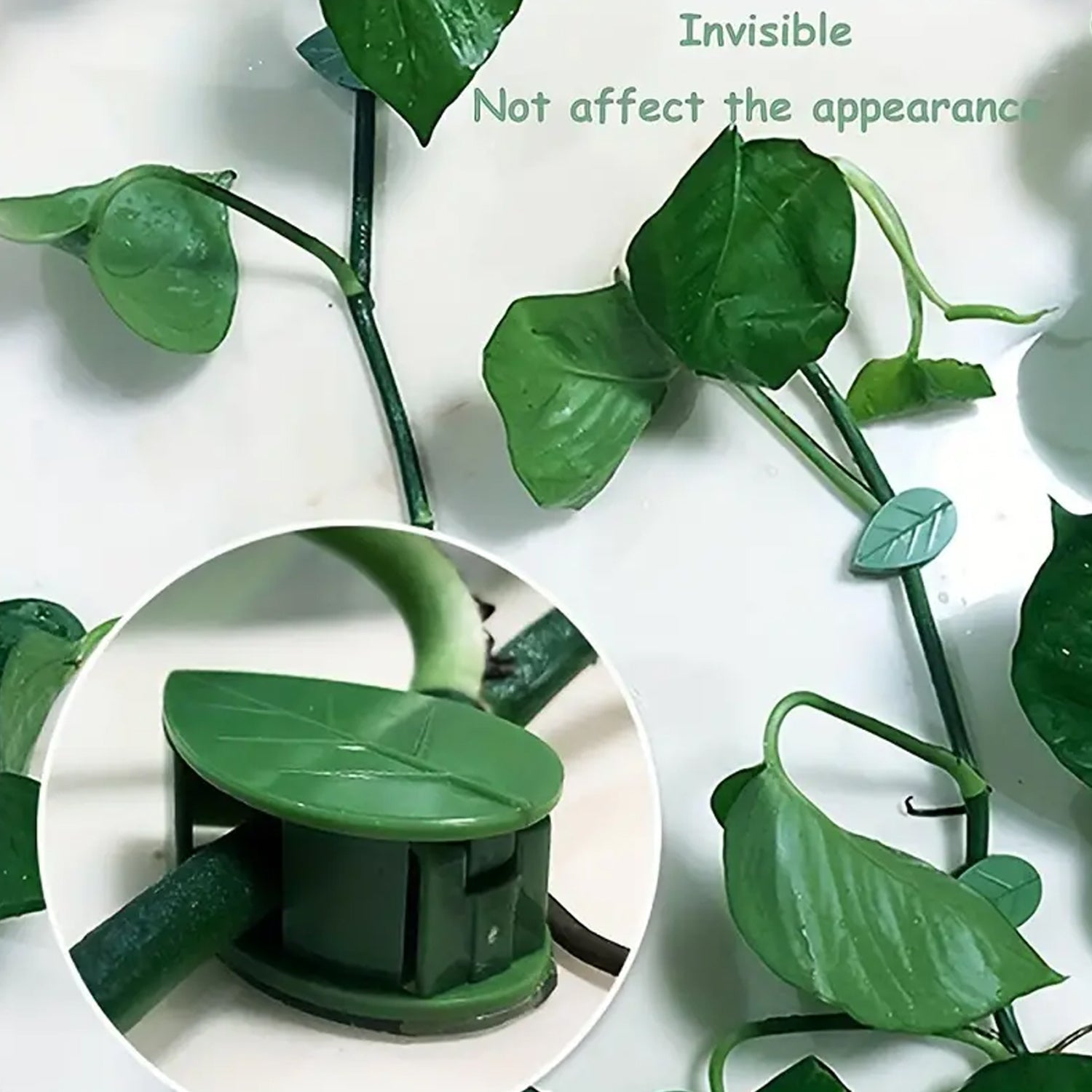 Leaf-shaped green plant climbing wall fixture clips set on white background