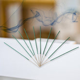 Box of Herbal Mosquito Agarbatti Sticks with packaging