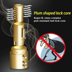 Motorbike disc brake lock with alarm function