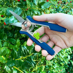 Non-stick blade of garden snips making a clean cut
