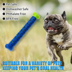 Puppy using chew toothbrush stick for dental care