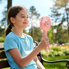 Rechargeable fan with adjustable head and multiple speeds