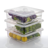 Plastic Food Storage Container with Removable Drain Tray and Lid