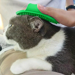 Scrub brush for pet fur cleaning and massage