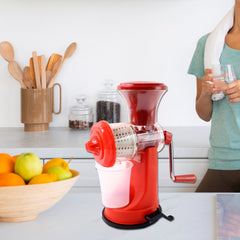 Juicer with fresh vegetable and fruit ingredients