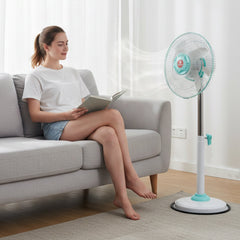 Desk Fan
