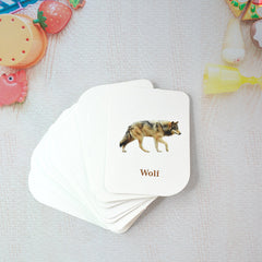 Close-up of realistic elephant animal flash card