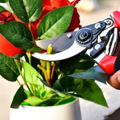 Garden plants with pruning shears