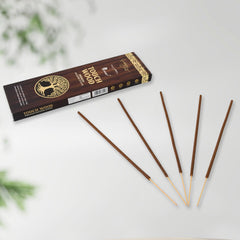 Close-up of mixed fragrance incense sticks