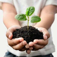 EarthGold branded vermicompost for plant nutrition