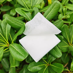 Cotton pads on a clean surface for makeup removal