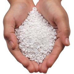 TerraBloom Perlite for garden soil conditioning