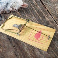Rustic style reusable rodent trap for home use
