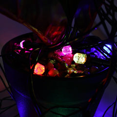 LED Decorative String Fairy Lights (8 Meter)