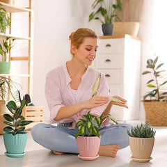 Five Pcs Set of Plastic Flower Pots with Trays