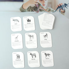 Kidkraft animal flash cards stacked in a box