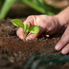 GreenCoco Fertilizer Block for Gardens