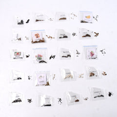 Rainbow Bloom Seed Set for Vibrant Colors