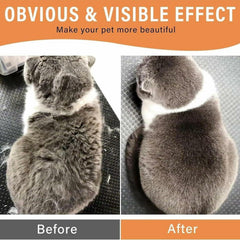 RevivaBrush Hair Removal & Massage Tool for Pets