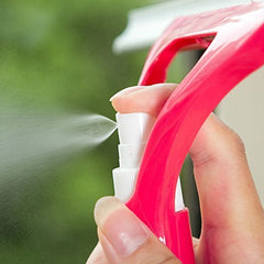 Cleaning a car windshield with the All-in-One spray brush and squeegee
