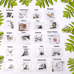Blossom Haven Seed Mix - 20 Flower Varieties