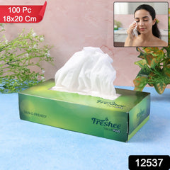 Freshee Facial Tissue Pack with 100 Pieces