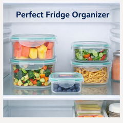 Airtight seal of a clear plastic food storage container.