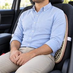 Mesh Backrest with Strap
