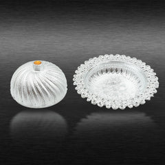 Top view of multipurpose dry fruit box with lid