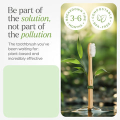 Ergonomic bamboo toothbrush handle design