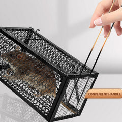 Live catch cage for mice and squirrels