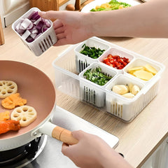 Fridge Storage Box showing freezer friendly use