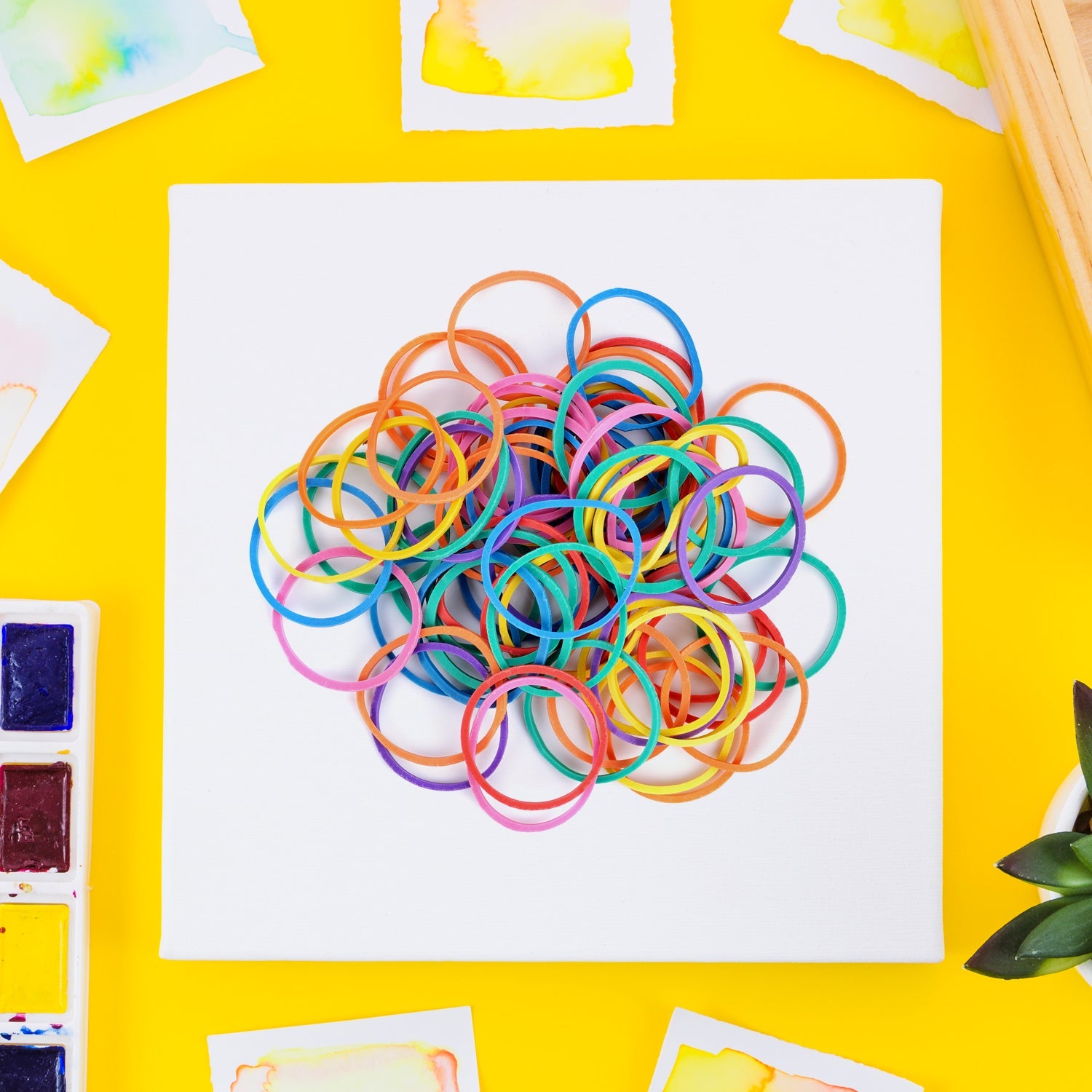 Multicolor strong reusable rubber bands bundle