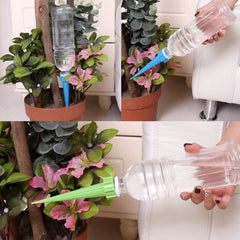 Self-watering spike inserted in flowering plant pot