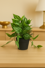 ChatGPT Image Jun 13, 2025, 03_52_08 PM