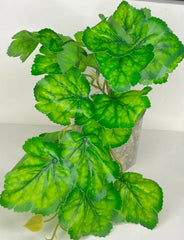 WhatsApp Image 2025-06-14 at 15.23.35 (1)