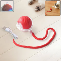 Rechargeable interactive cat toy ball with LED lights & braided tail