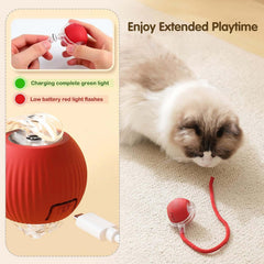 Close-up of the interactive cat toy ball with power button & LED