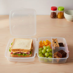 Lunch organizer container