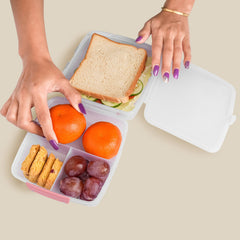 Compact Lunch Box with compartments